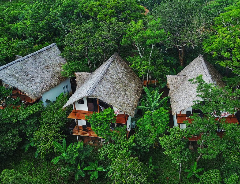 Tree-Casa-Ranchos