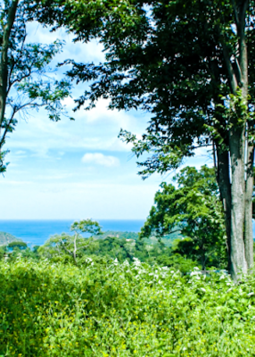 Las Cascadas large open lots