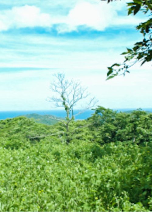 las mesas of el encanto