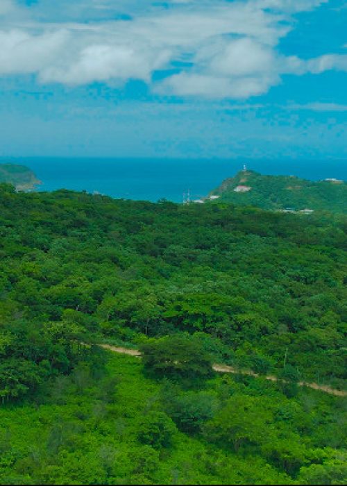 Montecito pacific coast views
