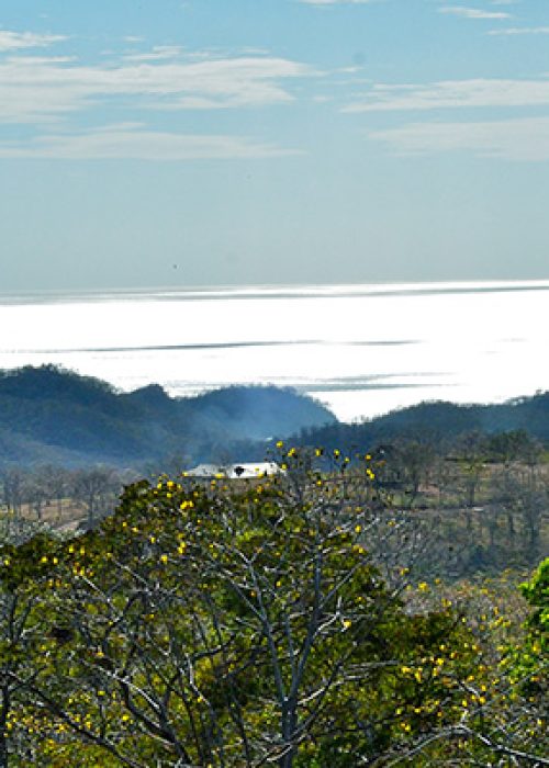 Montecito1