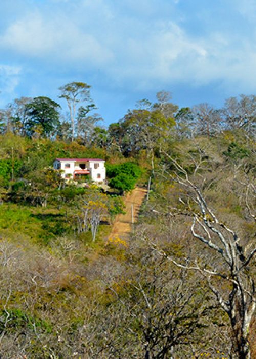 Montecito2