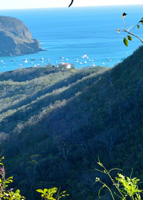 Montecito4