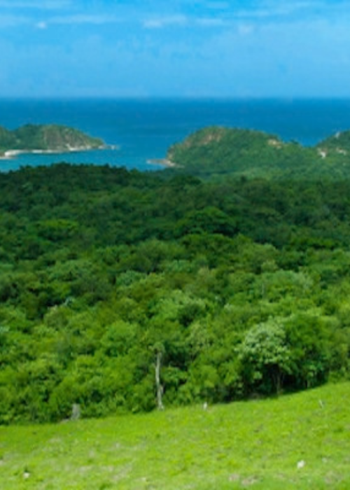 SUENOS
