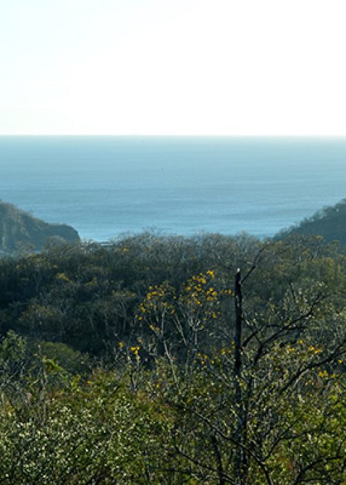 Suenos Arial Views